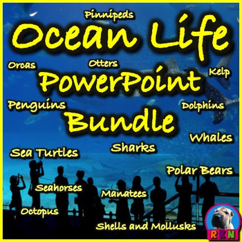 Preview of Ocean Life PowerPoint & Activities Bundle