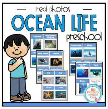 Preview of Ocean Life Real Photo Cards