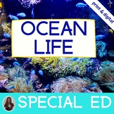 Ocean Life Unit for Special Education PRINT AND DIGITAL