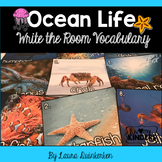 Ocean Life Write the Room Vocabulary