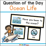 Ocean Question of the Day for Preschool and Kindergarten