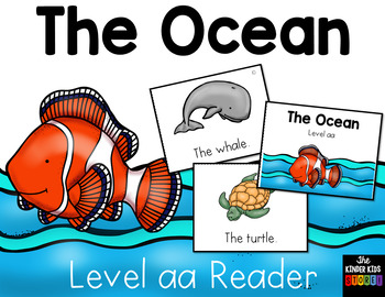 Preview of Ocean Guided Reading Level aa