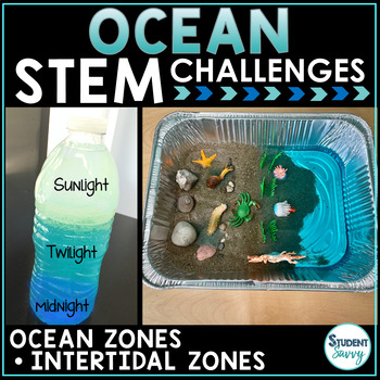 Ocean STEM Activities Challenges - Earth Science Oceanology Zones Tidepool