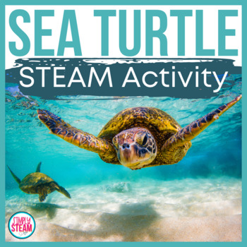 Preview of Ocean STEM Activities | Sea Turtles
