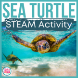 Ocean STEM Activities | Sea Turtles