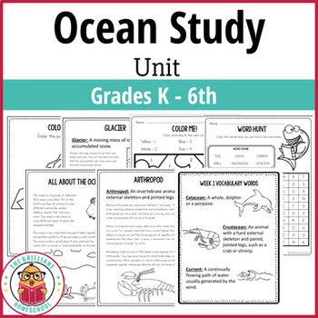 Preview of Ocean Study Unit