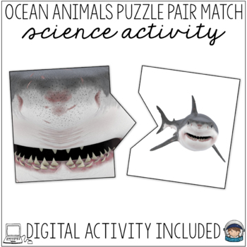 Preview of Ocean Animals Match Science Center Activity Print and Digital Boom Cards