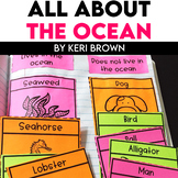 Ocean Activity and Ocean Animals