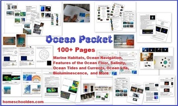 Preview of Ocean Unit - Marine Habitats, Tides, Currents, Ocean Zones, and More