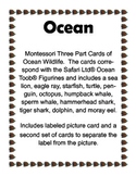 Ocean Wildlife - Montessori 3 Part Cards