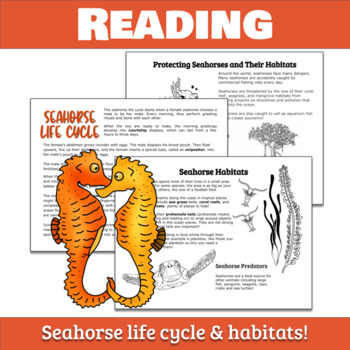 I. Introduction to Seahorses and Their Importance
