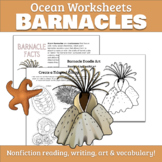 Ocean Worksheets: What are Barnacles?