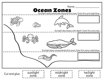 ocean zones teaching resources teachers pay teachers