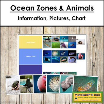 Preview of Ocean Zones and Animals Sorting Cards & Control Chart