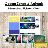 Ocean Zones and Animals Sorting Cards & Control Chart