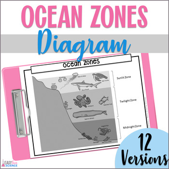 Preview of Ocean Zones Diagram for Marine Biology, Oceanography: Cut & Paste, Coloring