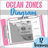 Ocean Zones Diagram for Marine Biology, Oceanography: Cut 