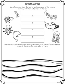 ocean zones differentiated nonfiction reading passages by bow tie guy