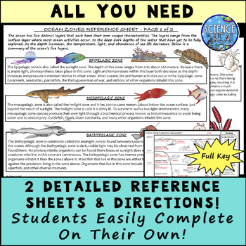 ocean zones worksheet graphic organizer w reference sheets key