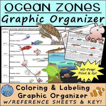 Preview of Ocean Zones Worksheet Graphic Organizer with Reference Sheets and Key