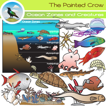Ocean Zones and Creatures Clip Art Set - Oceanography by The Painted Crow