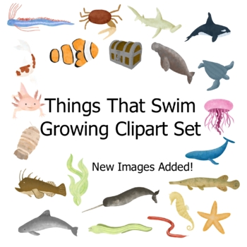 Ocean and Lake Aquatic Creature Clipart, Water Animal Images, Commercial Use
