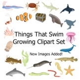 Ocean and Lake Aquatic Creature Clipart, Water Animal Imag