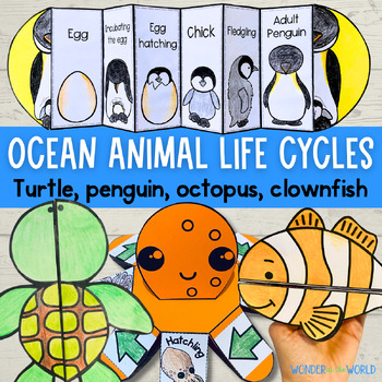 Preview of Ocean animal life cycle foldable activities turtle penguin clownfish cut & paste