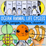 Ocean animal life cycle foldable activities turtle penguin