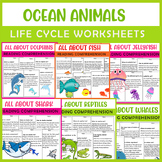 Ocean animals Life Cycle worksheets Bundle, Dolphin, Shark