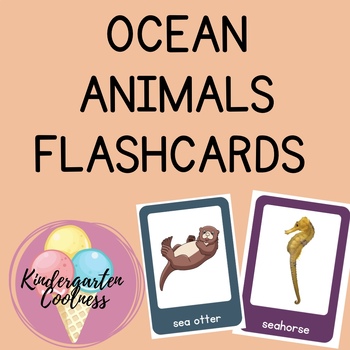 Preview of Ocean animals flashcards - real life images and cartoon clip art