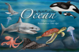Ocean clipart, sea animals clipart, watercolor ocean, whal