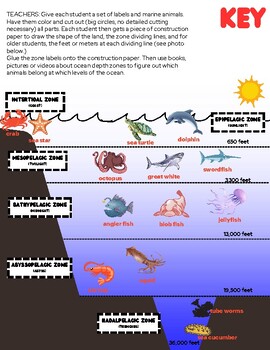 Preview of Ocean depth zones animal cut-and-paste