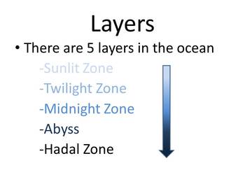 Ocean - layers and ocean life: PowerPoint, worksheets, art, books, movie.