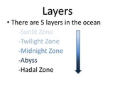 Ocean - layers and ocean life: PowerPoint, worksheets, art