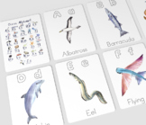 Ocean life alphabet learning flash cards, fun educational 