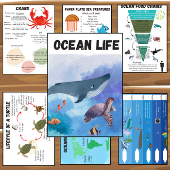 Preview of Ocean unit study - Sea creatures, habitats, food chains, life cycles + more