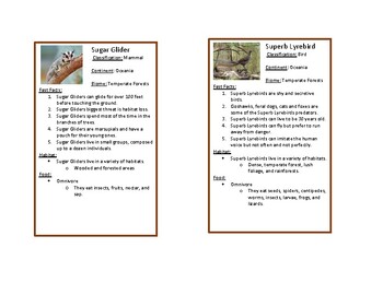 Preview of Oceania - Temperate Forests Animal Biome Cards