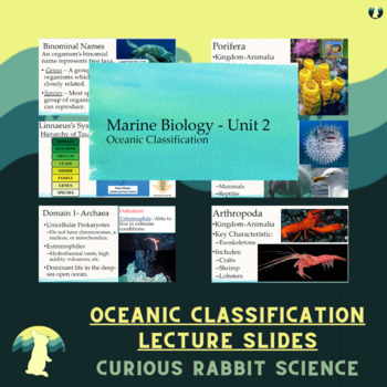 Preview of Oceanic Classification - Marine Biology Unit 2 - FULL