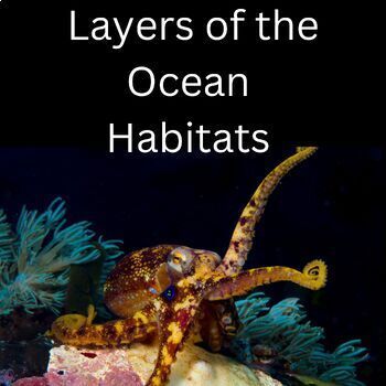 Preview of Oceanography Layers of the Ocean Biomes Middle School Science