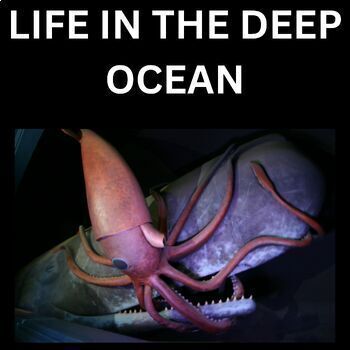Preview of Oceanography Marine Biology Life in the Deep Middle School Science