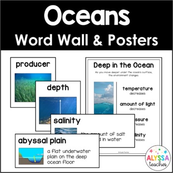 Preview of Oceans Word Wall and Poster Set (SOL 4.7)