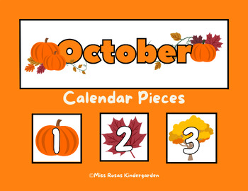 Pattern Calendar Pieces with Real Pictures | Nonfiction