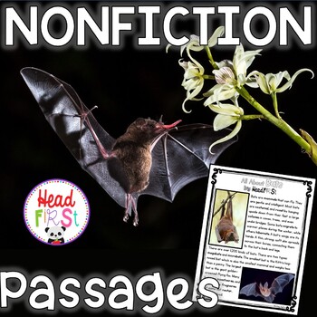 Preview of Bats Passages with Comprehension Questions and Writing Activities NO PREP