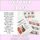 October Craft: Toilet Paper Fabric Pumpkin