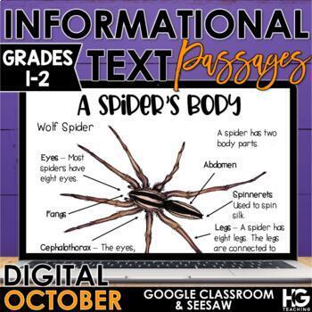 Preview of October & Halloween Digital Reading Comprehension Passages | Spiders, Bats, Owls