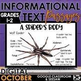 October & Halloween Digital Reading Comprehension Passages