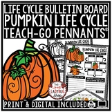 October Pumpkin Life Cycle Science, Fall Bulletin Board Ce