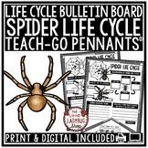October Spider Life Cycle Activity Arachnids Study Hallowe