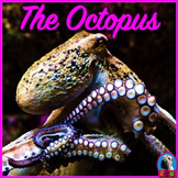 Octopus - PowerPoint & Activities